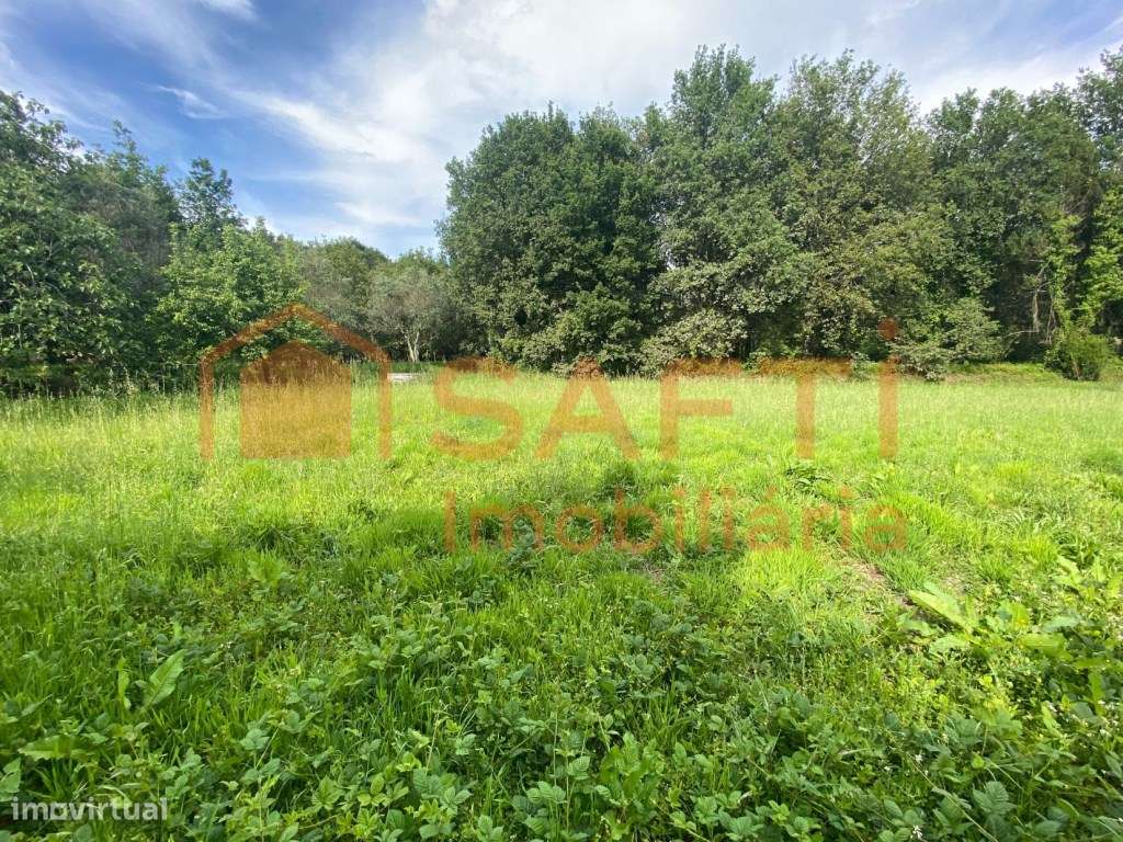 Terreno Viseu Construção Quinta com Moradia T2 e outras - Grande imagem: 4/42