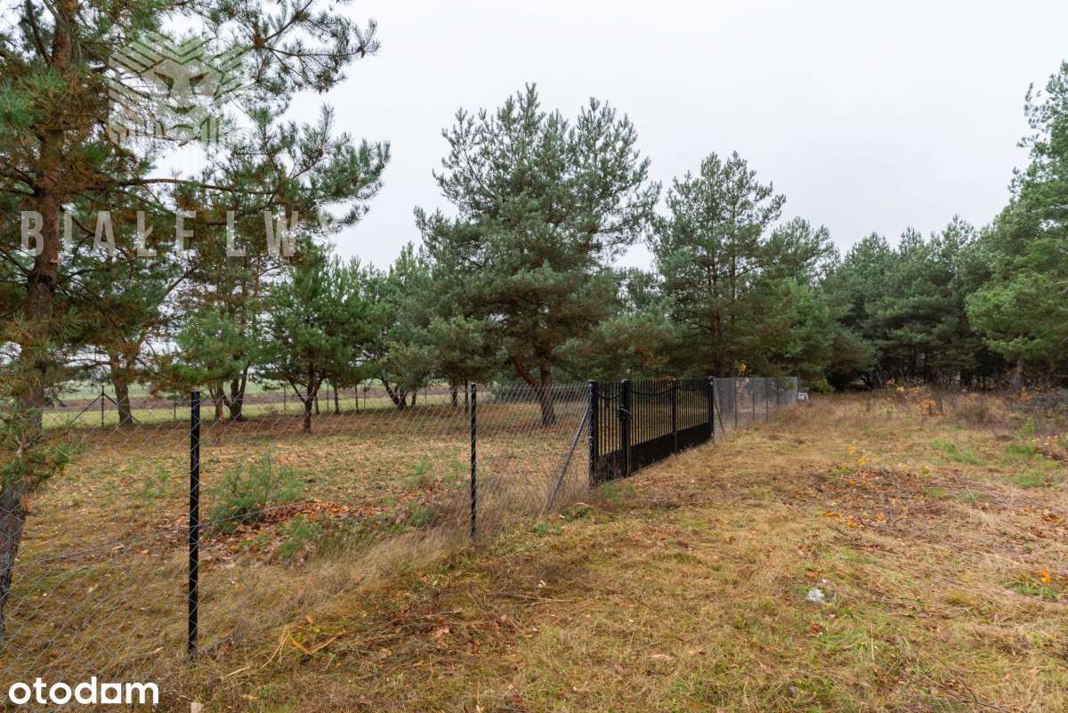 Jachranka - działka pod dom jednorodzinny - Pełny obrazek: 4/19