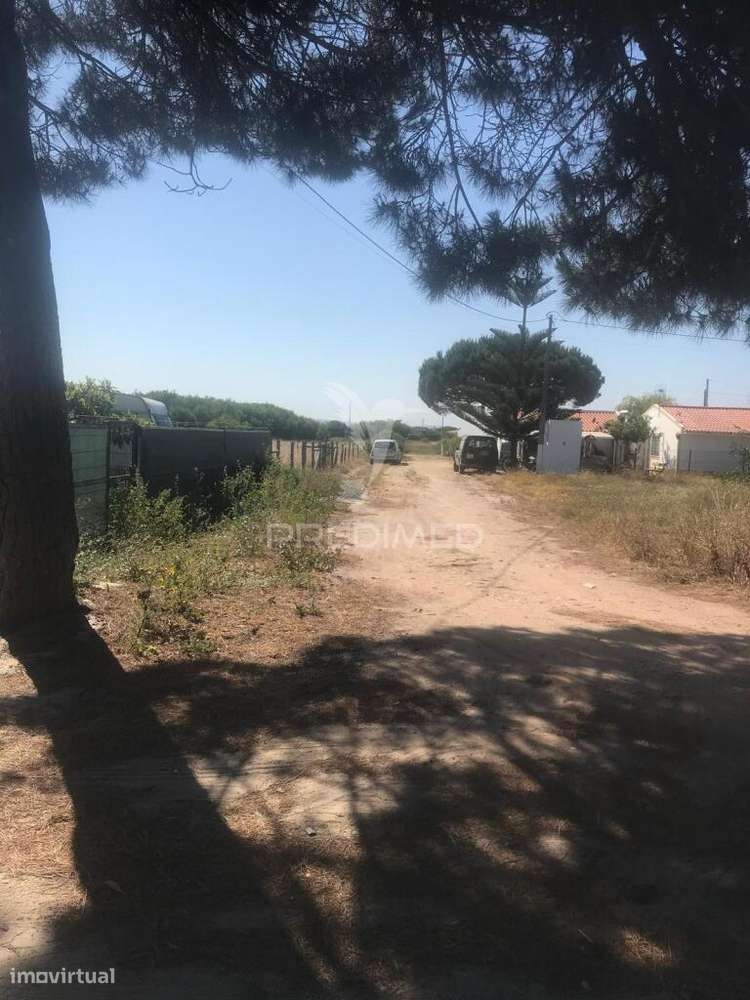 Terreno Rústico/ Urbano - Vila Nova de Mil Fontes - Grande imagem: 4/4