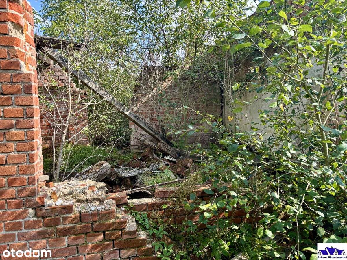 Siedlisko w sąsiedztwie lasu-18