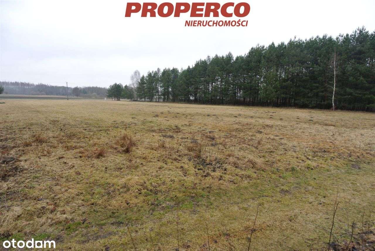 Działka 5428m2, Grabowiec, Chmielnik, pod lasem - Pełny obrazek: 4/6