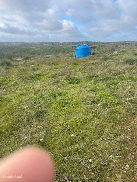 Herdade 30 hectares - Grande imagem: 2/5