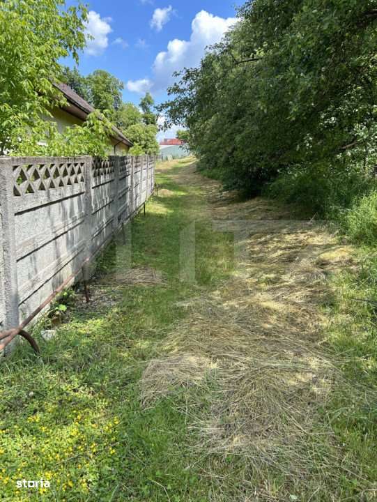 Teren podul Jelnei 3306 mp + casa veche - Imagine principală: 5/5