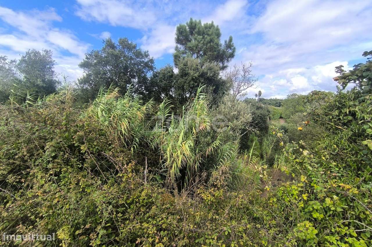 4 Terrenos Área Total de 20.778 m2 - Urbanizável (parcialmente)-14
