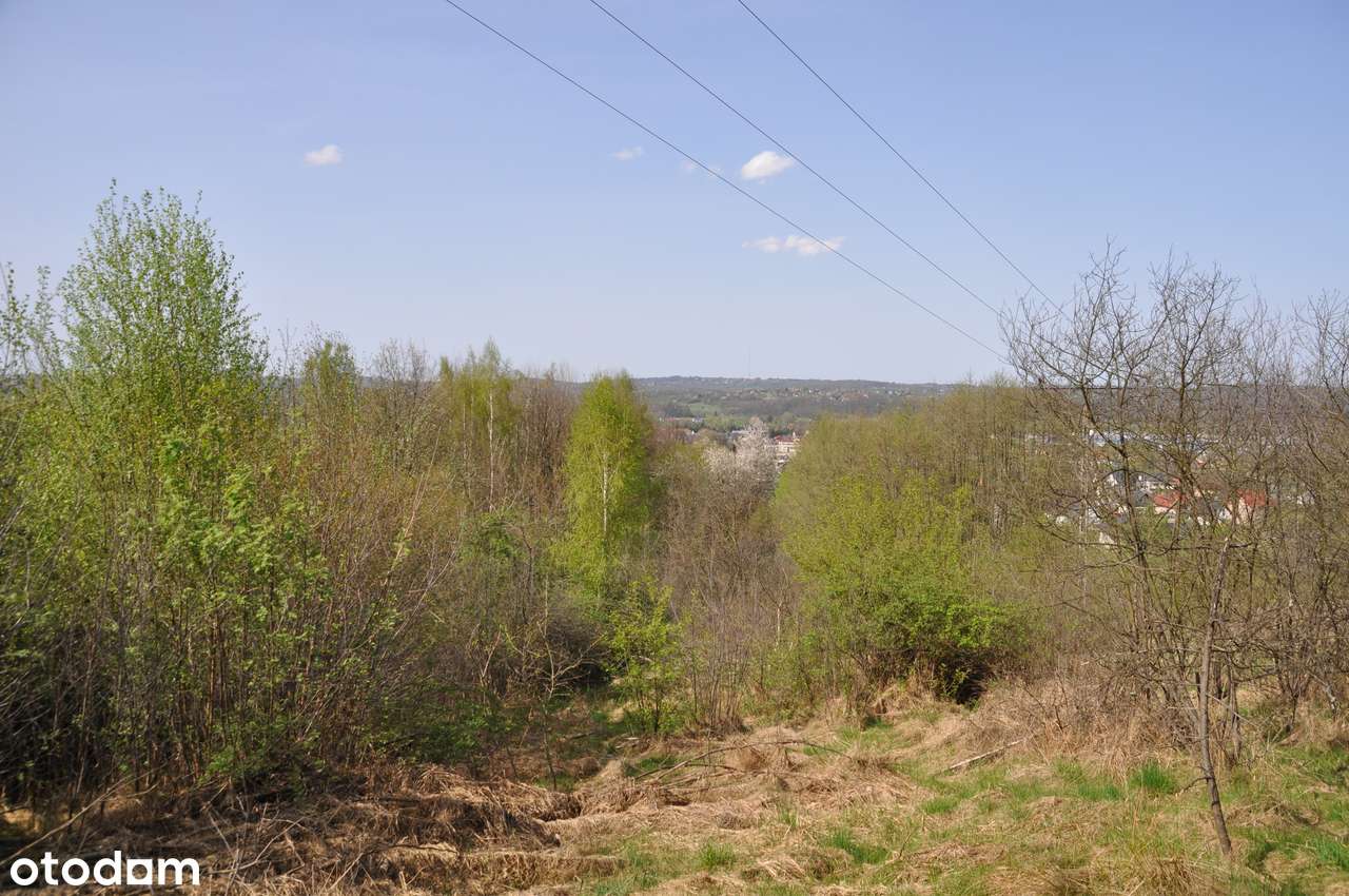 Dobczyce - działka rolna pod rekreację - Pełny obrazek: 4/7