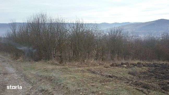 ID 9459: Teren 5.100 mp - Lechinta, Bistrita Nasaud - Imagine principală: 2/13