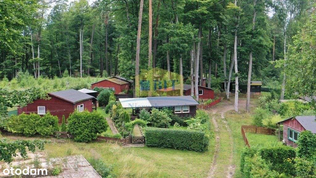 Domek letniskowy nad jeziorem Dłusko - Pełny obrazek: 4/20