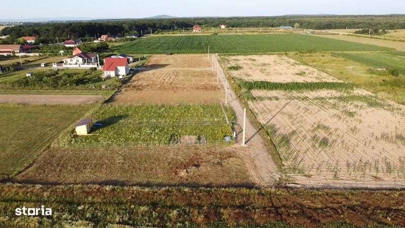 Parcele teren intravilan - Imagine principală: 5/5