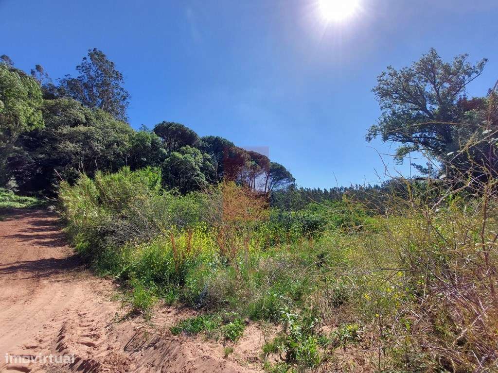 Terreno Rústico com 5.900 m² junto ao Rio Arnóia-15