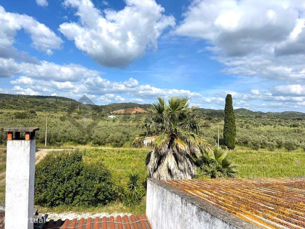 Quinta localizada a 1,5Km da Vidigueira-19