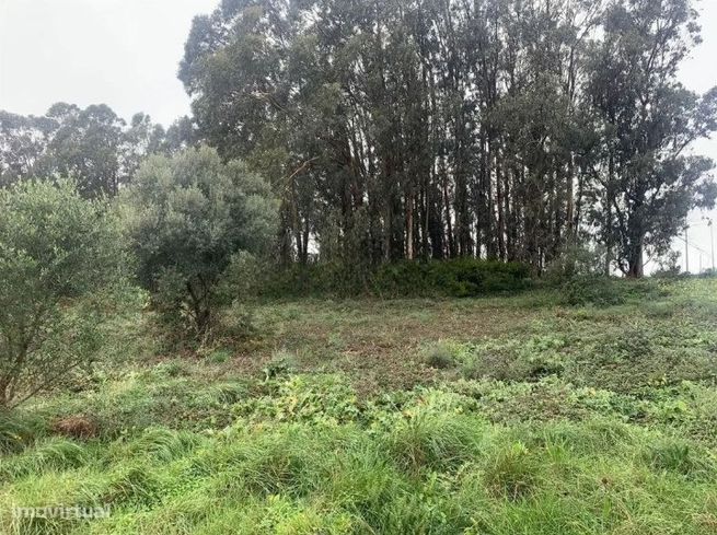 Terreno  Venda em Sintra (Santa Maria e São Miguel, São Martinho e São-5