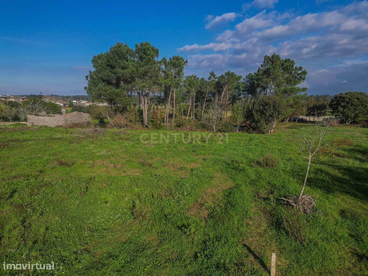 Terreno Agrícola em Montemor o Velho - Oportunidade Única-19