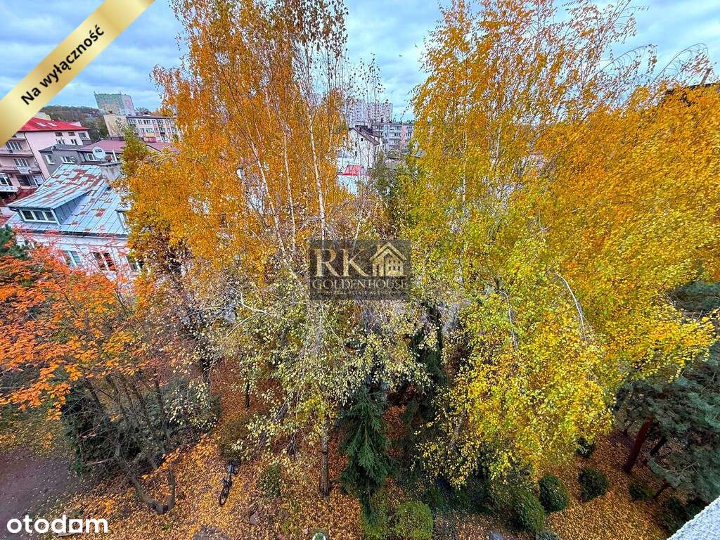 Kawalerka w ścisłym centrum miasta-7