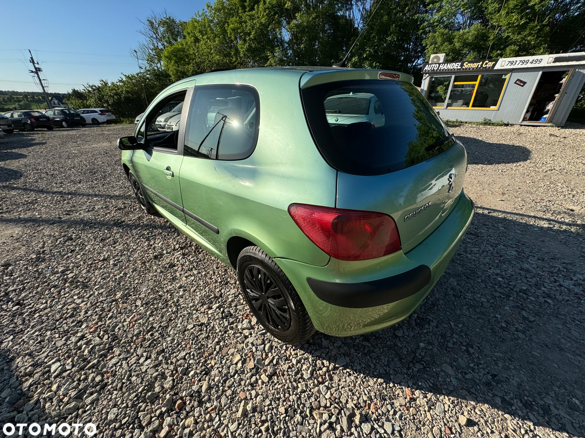 Peugeot 307 1.6 XS - 17