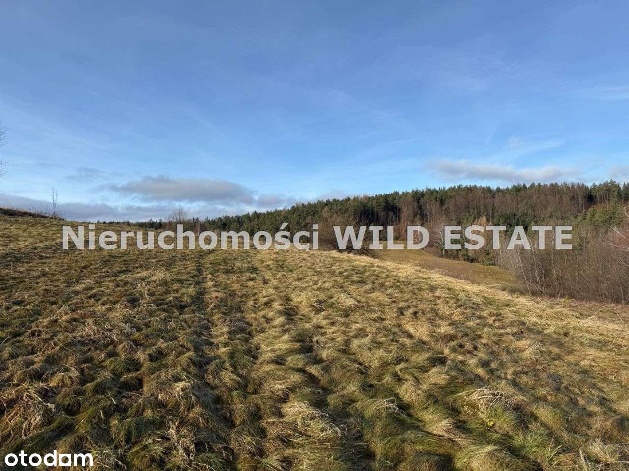 Działka, 3 402 m², Berezka-5