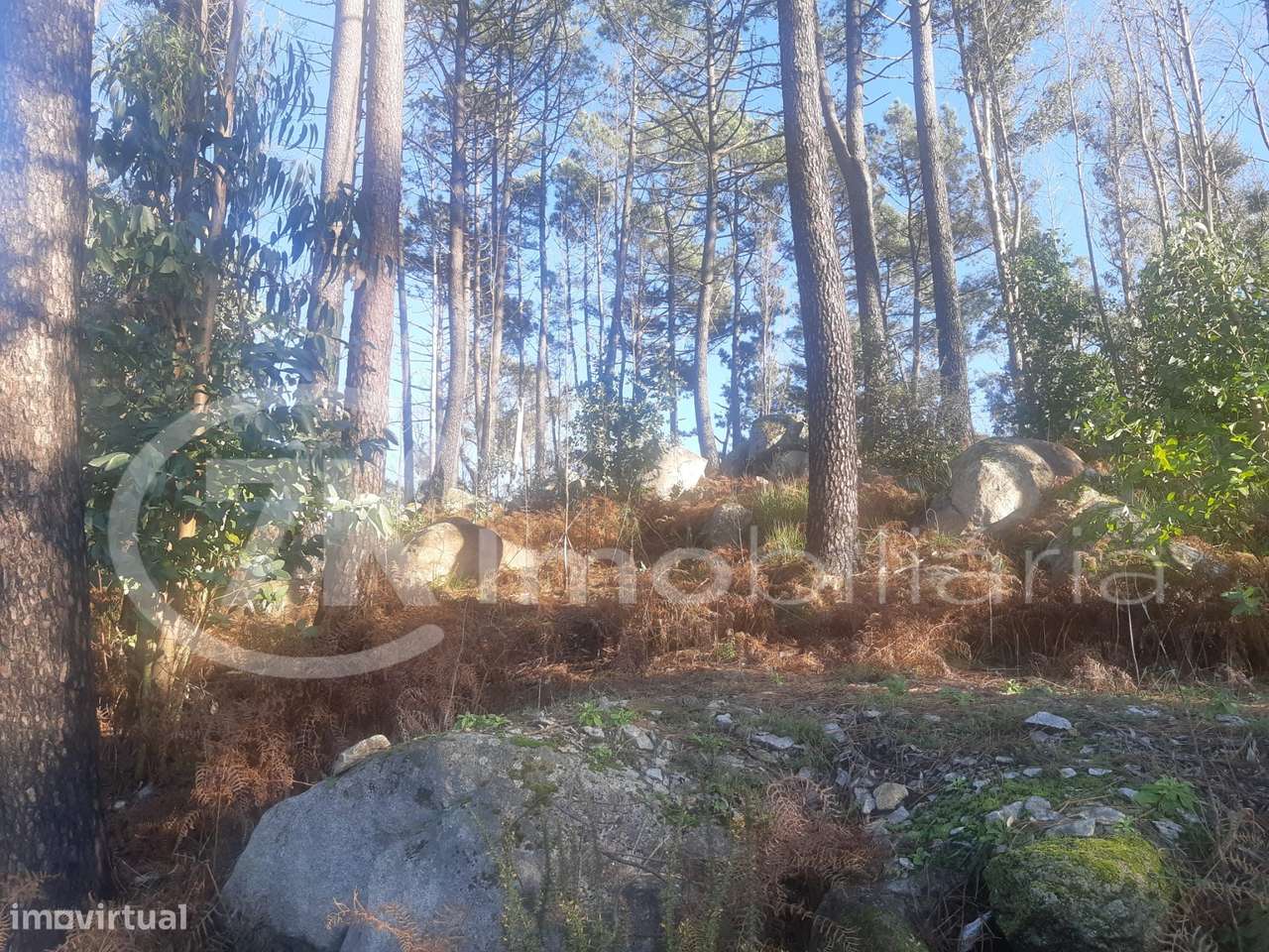 Terreno em Penhalonga-11