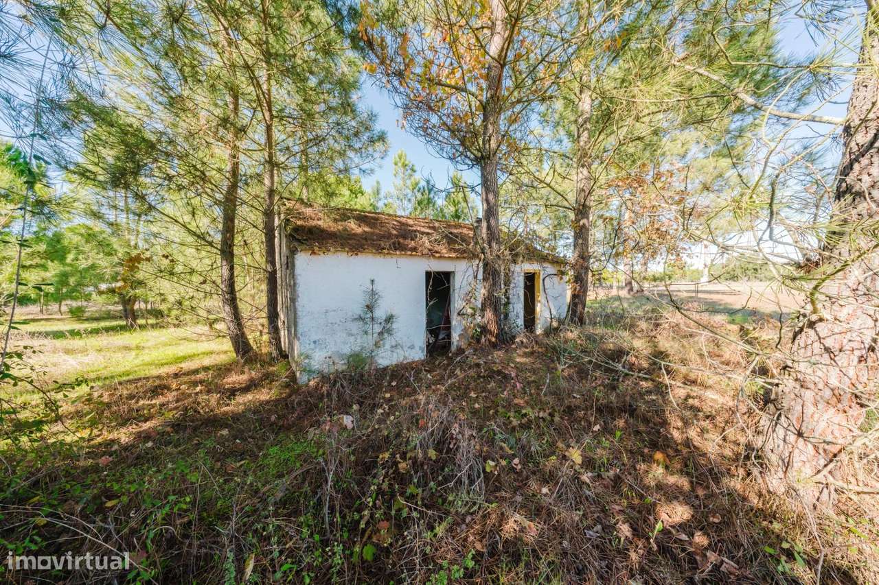 Oportunidade em Melides: Terreno com projeto para moradia T4 - Grande imagem: 4/12