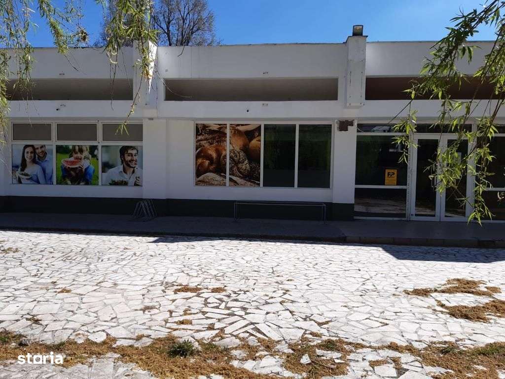 Spatiu comercial Moinesti Lucacesti - 511 mp-1