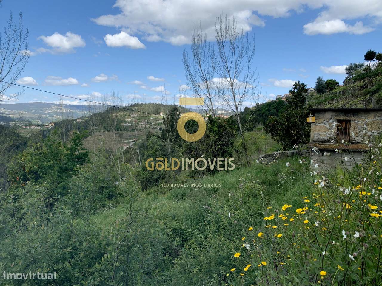 Terreno Rústico  Venda em Souselo,Cinfães - Grande imagem: 4/9