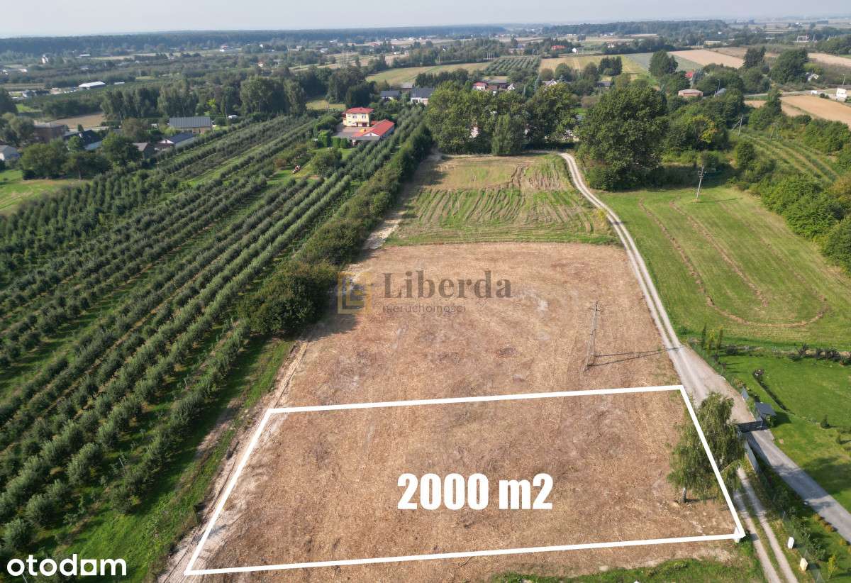 Motycz - 2000M2 - Okolica Lublina - Pełny obrazek: 1/3