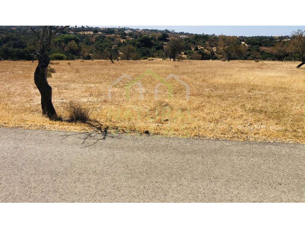 Terreno Rústico de 2ha na Guia, Albufeira - Grande imagem: 5/6