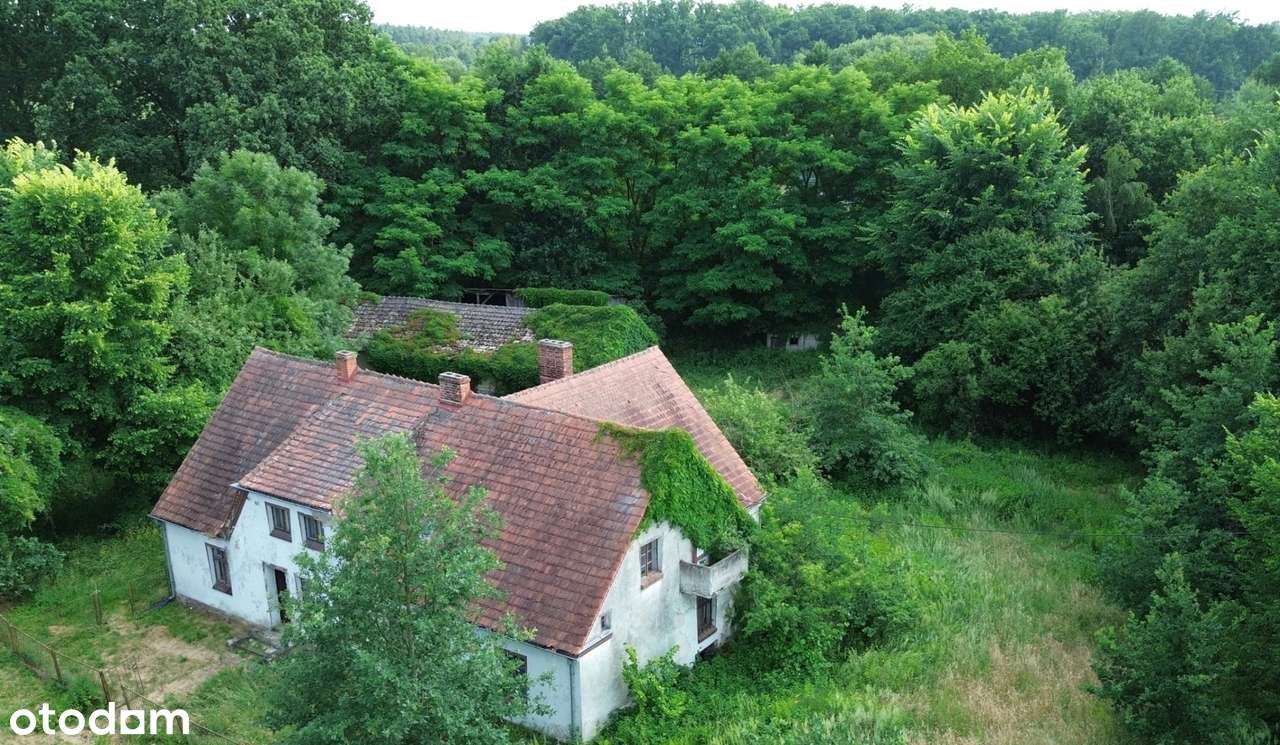 Wyjątkowa posiadłość w sercu lasu | Henrykowice k. Milicza | Dom 280 m-0