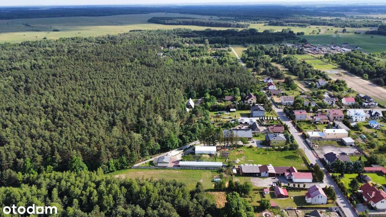 FILM / Duża działka z lasem ! Wysokie poddasze ! - Pełny obrazek: 3/20