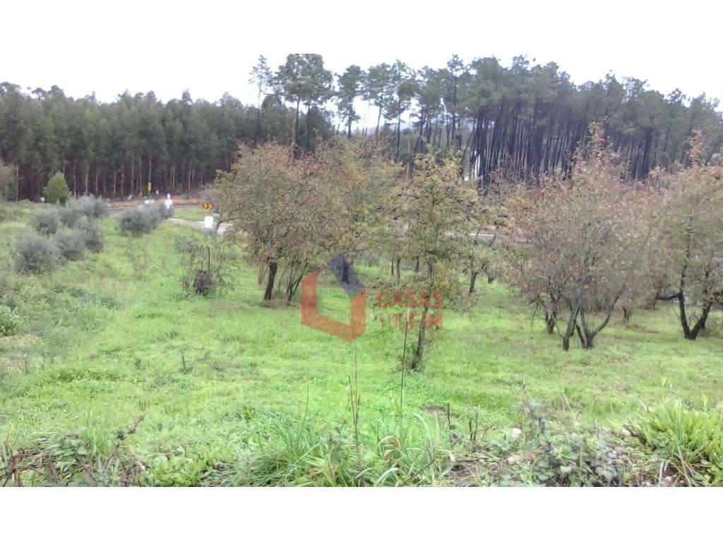 Terreno agricola com 1240 m2, Juncal, Porto de Mós - Grande imagem: 4/5