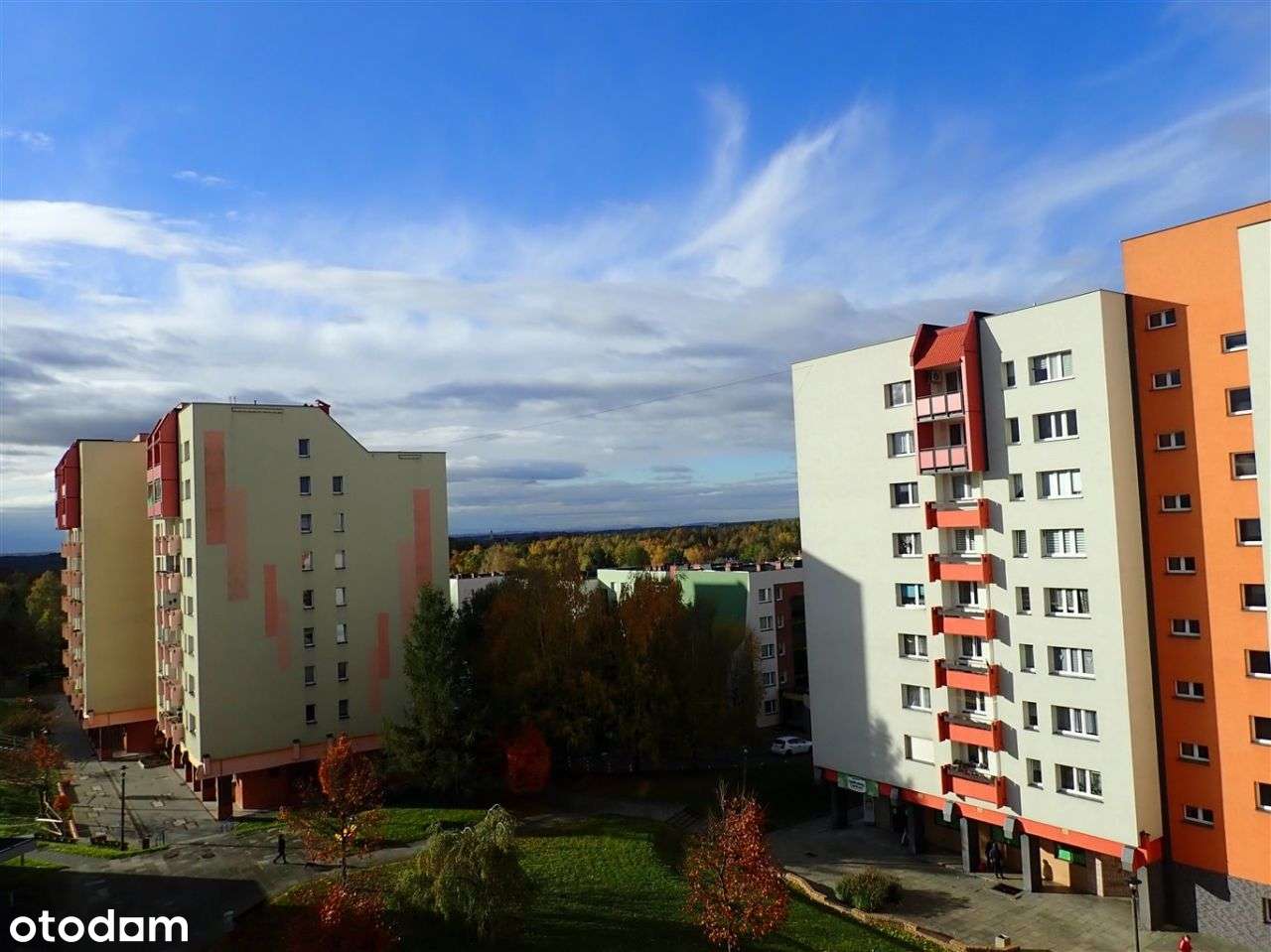 Sprzedam mieszkanie Wodzisław Śl 2pokoje balkon-1