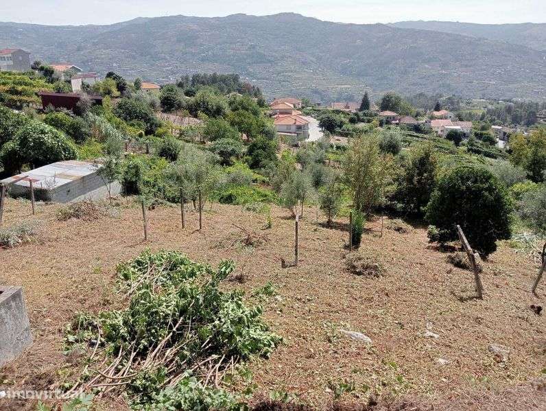 Terreno em Enxames, Santa Cruz do Douro - Grande imagem: 4/6