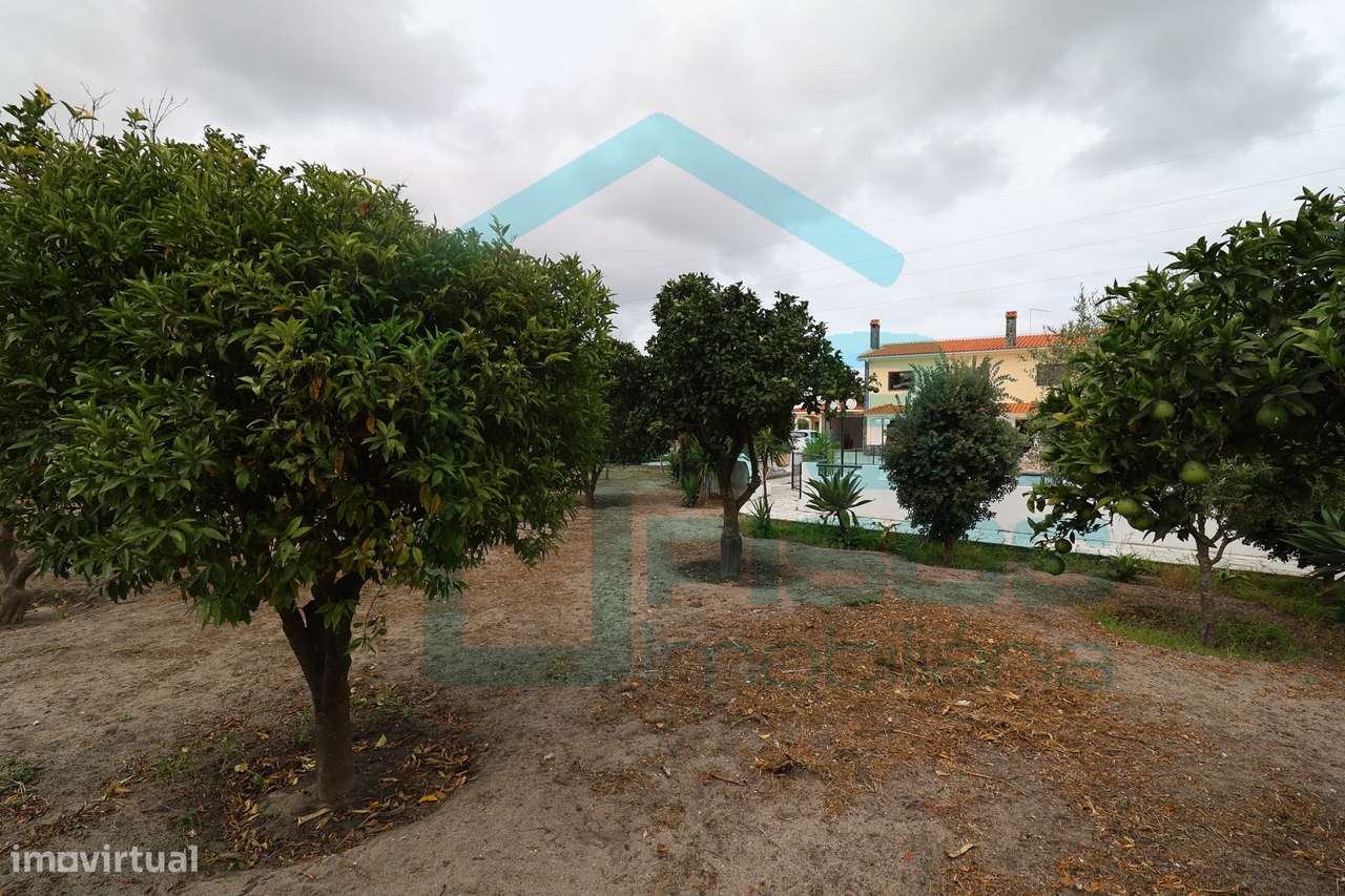 Moradia, Quinta do Conde, Sesimbra piscina, terreno c/arvores de fruto-54