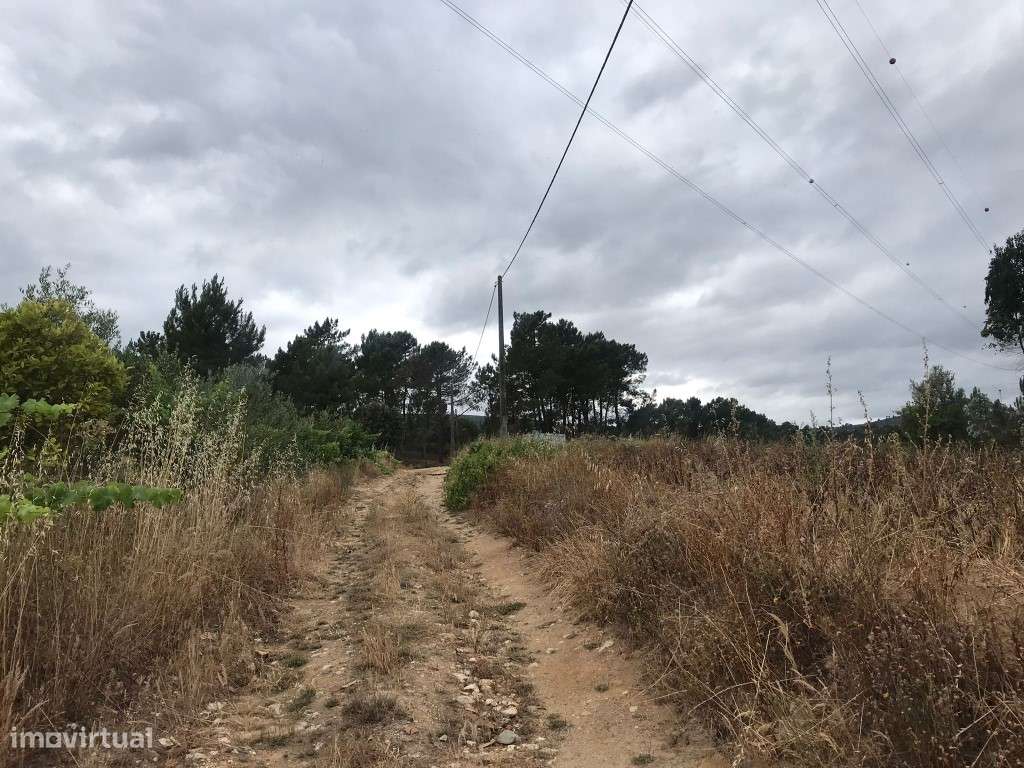 Quinta com casinha na Chancelaria, Torres Novas-12