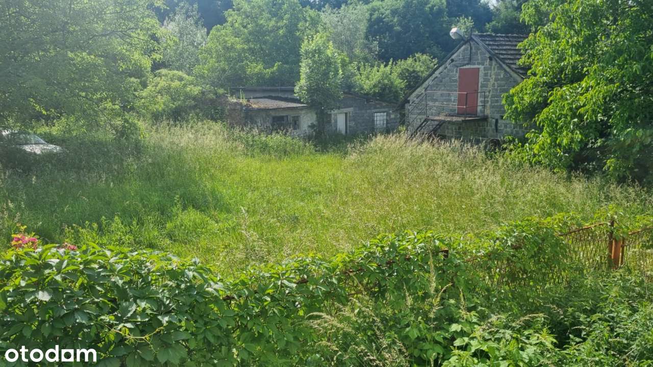 Siedlisko z budynkiem mieszkalnym w Ochabach Małych na sprzedaż.-5