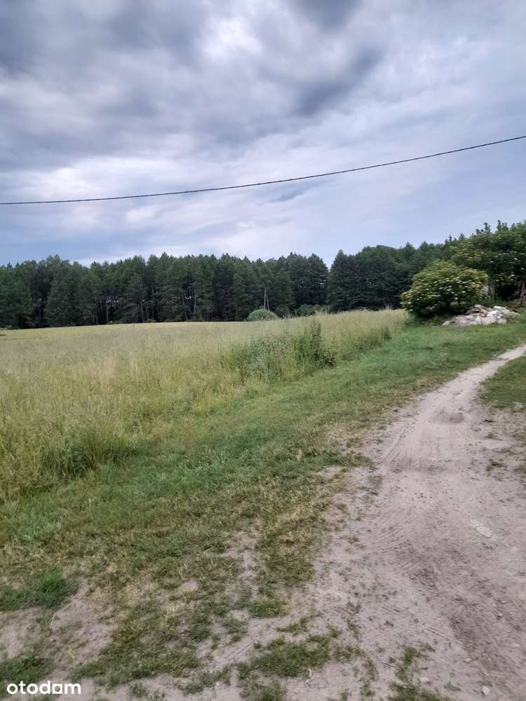 Działki w Chroślu. - Pełny obrazek: 3/5