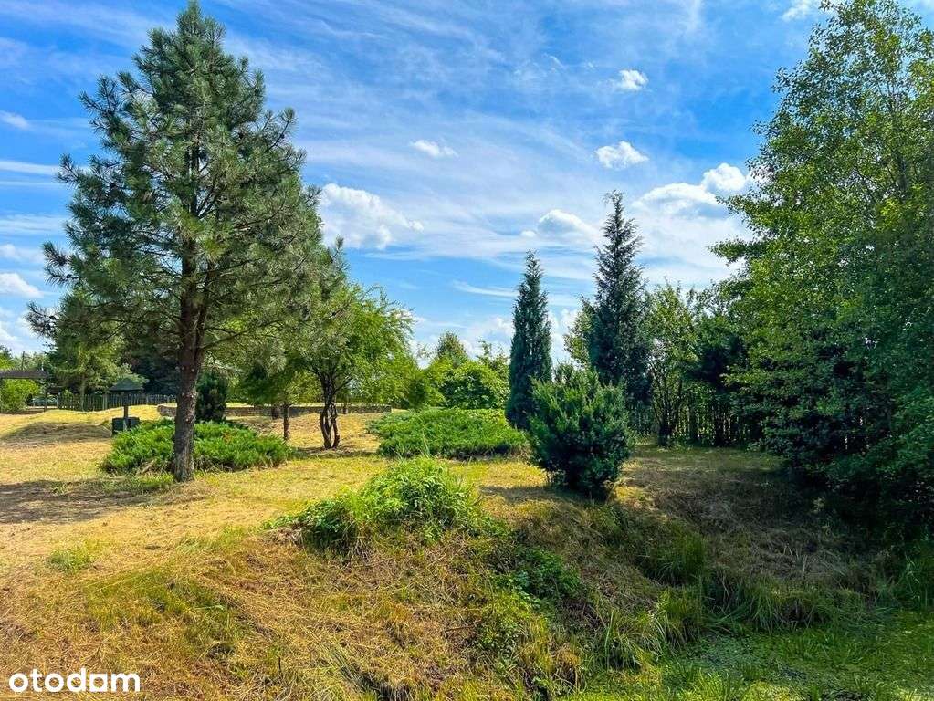 Duża działka w pięknym miejscu z jeziorem - Pełny obrazek: 4/20