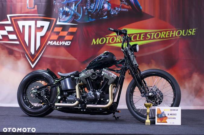 Harley-Davidson Softail - 22