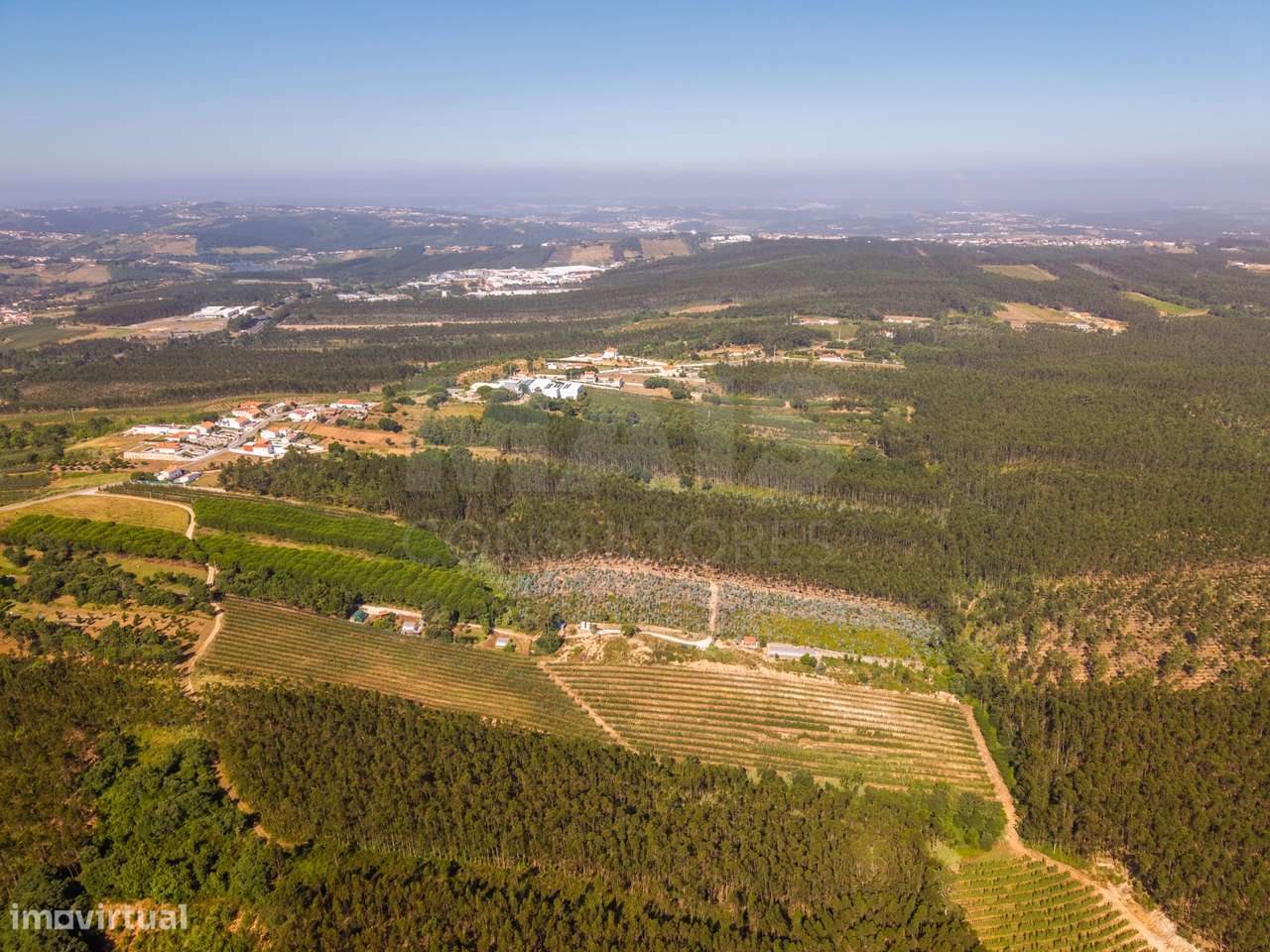 Terreno Agrícola na Fanadia | 16.100 m² de Potencial e Infraestrutu...-36