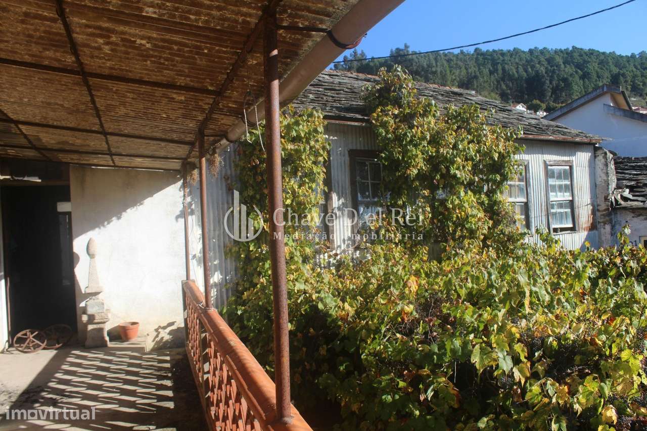 Quinta  Venda em Parada de Ester e Ester,Castro Daire - Grande imagem: 1/26