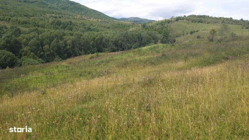 PF vand teren SALICEA, IARA extravilan,parcele de 500la5000mp , CABANA - Imagine principală: 5/8