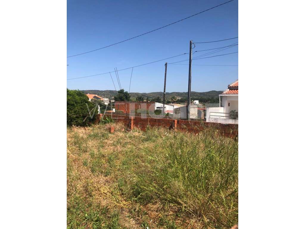 Terreno para Construção na Vila da Vidigueira - Oportunidade Única!-13