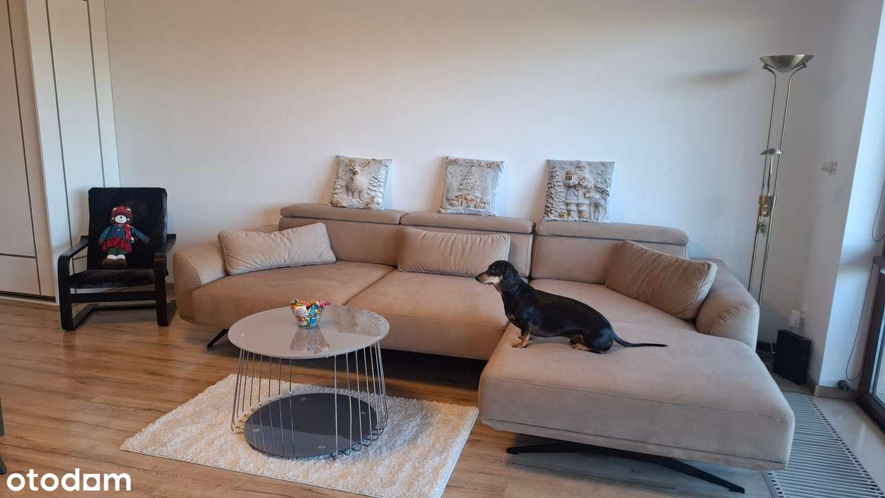 Przytulne mieszkanie - Pełny obrazek: 5/13