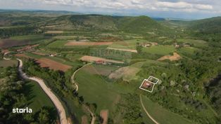 Casă masivă cu teren 8 ha în Dumbrăvița de Codru, Bihor, de vânzare