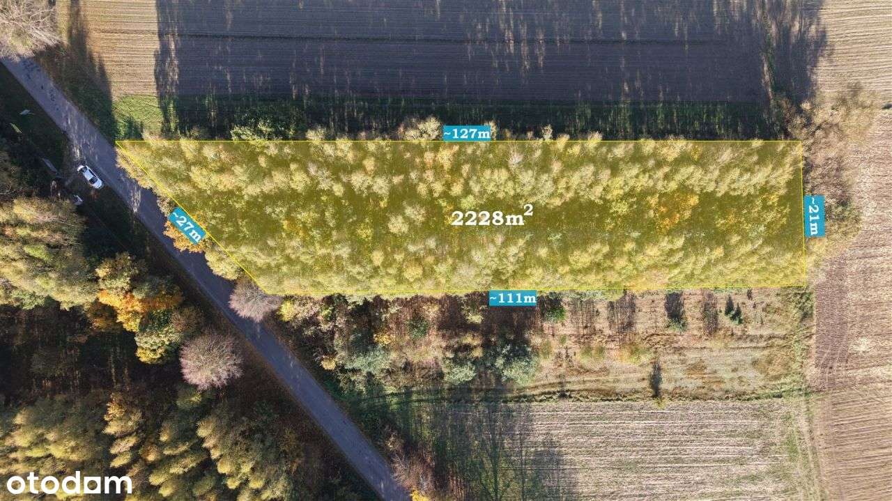 Duża zadrzewiona działka nieopodal Wkry.-12