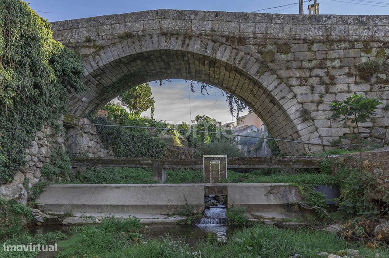 Terreno Rústico - Grande imagem: 5/11