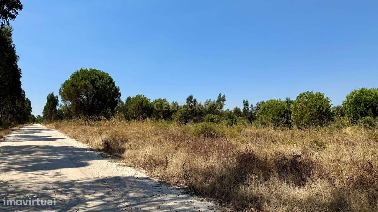Terreno com 94.000 m2 na zona do Novo Aeroporto de Lisboa, Santo Estêv - Grande imagem: 4/23