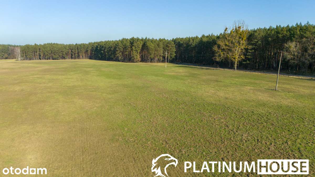 Działka rolna 4,26 ha | Lutol Mokry | Inwestycja - Pełny obrazek: 1/11