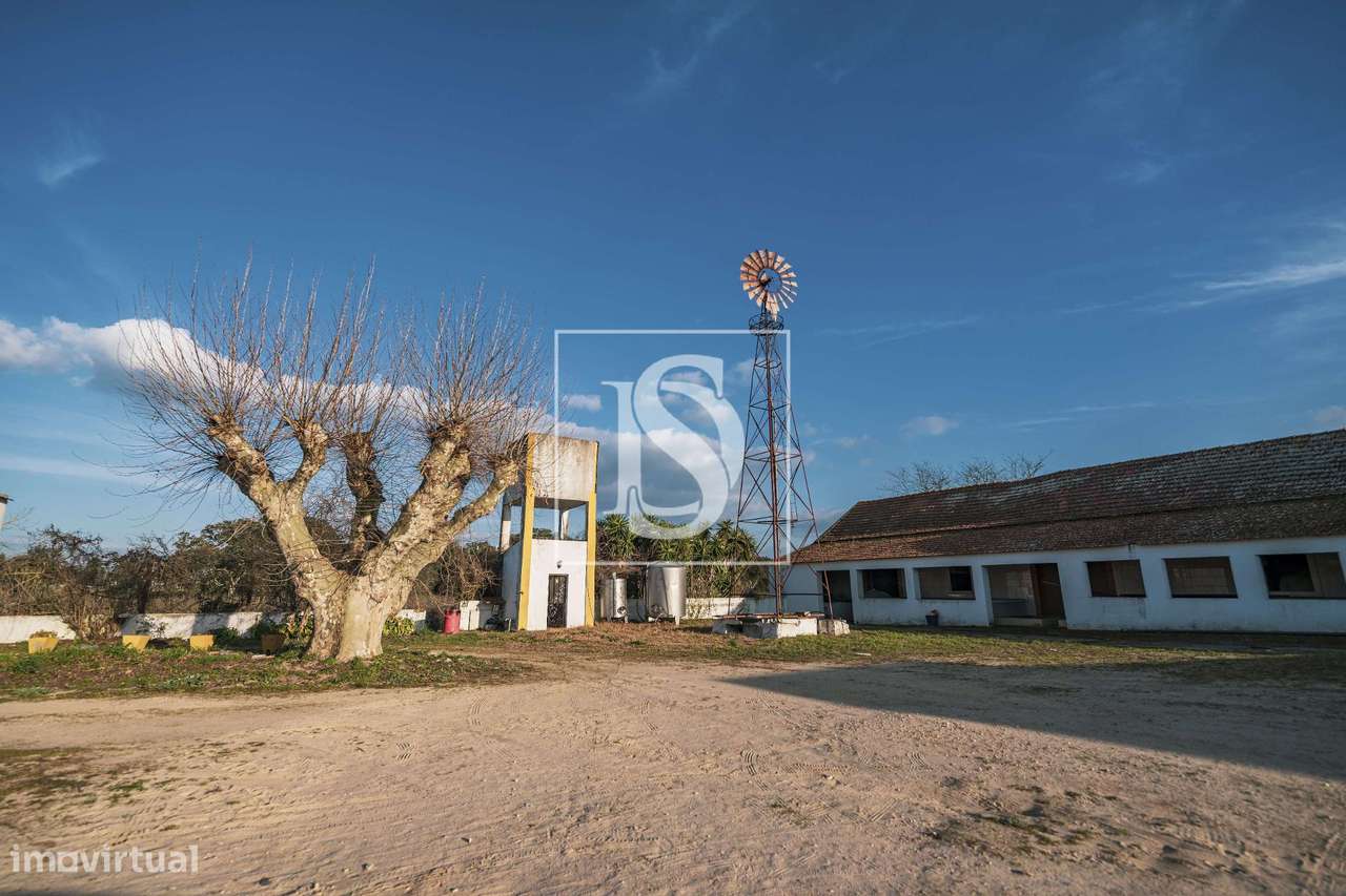 Herdade T3+2 Venda em Poceirão e Marateca,Palmela-19