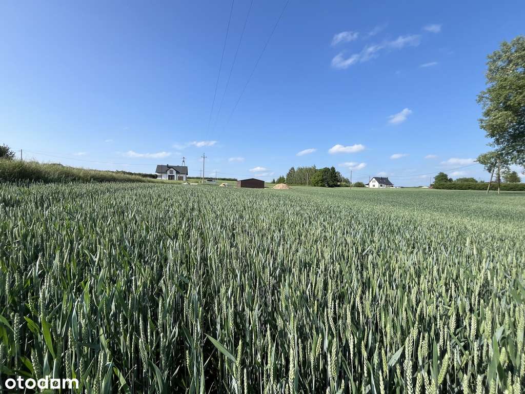 Zeme, 1500 m²