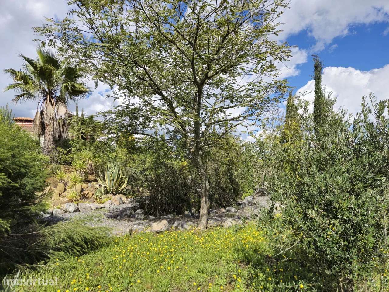 Casa senhorial privada com piscina em mais de 5 hectares.-42