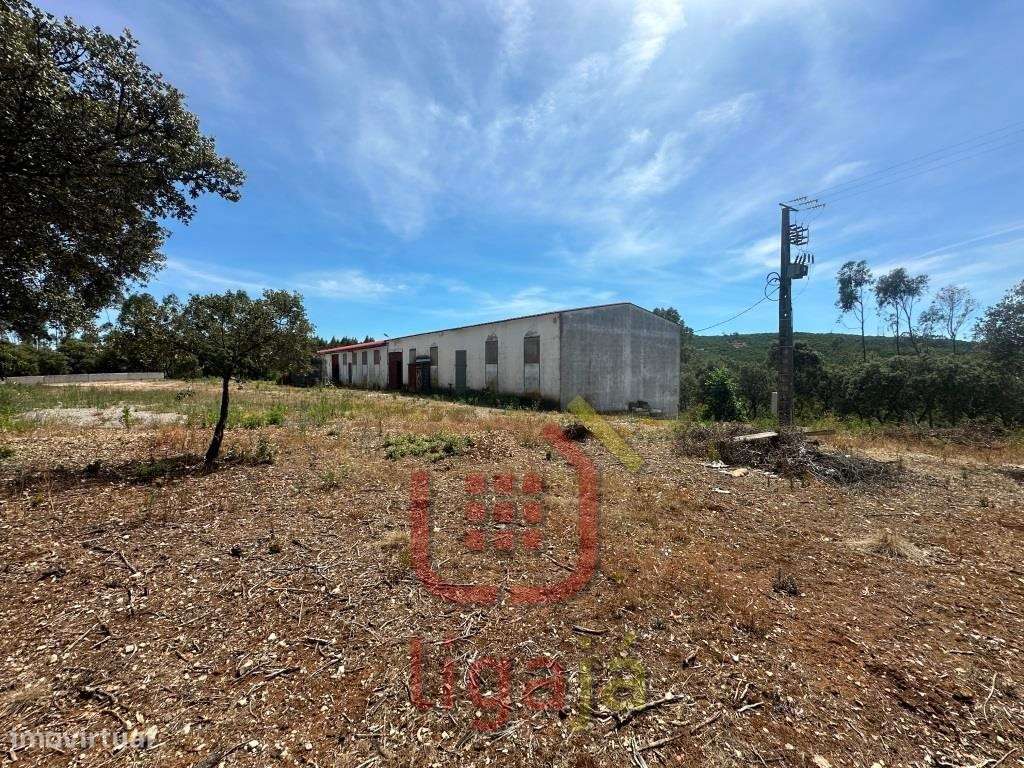 Armazém Industrial/Agropecuário com 9.700 m² de Terreno | Entre Our...-6